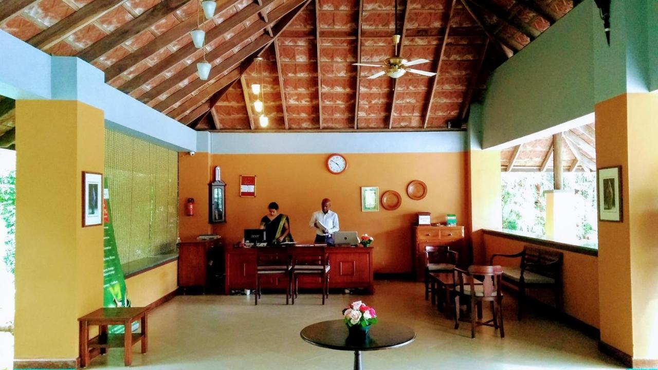 Abad Green Forest Thekkady Kumily Exterior photo