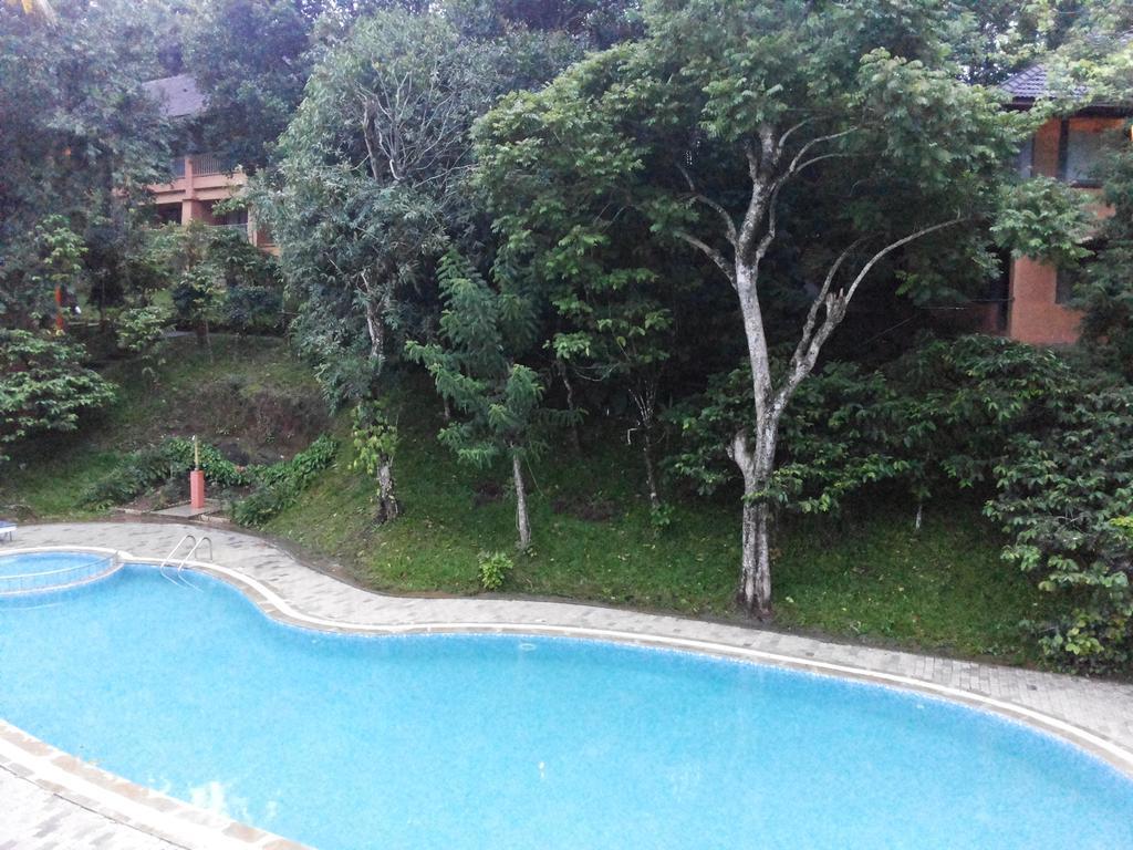 Abad Green Forest Thekkady Kumily Exterior photo